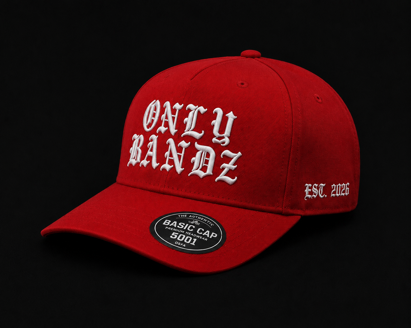 ONLY BANDZ 3D Puff Hat