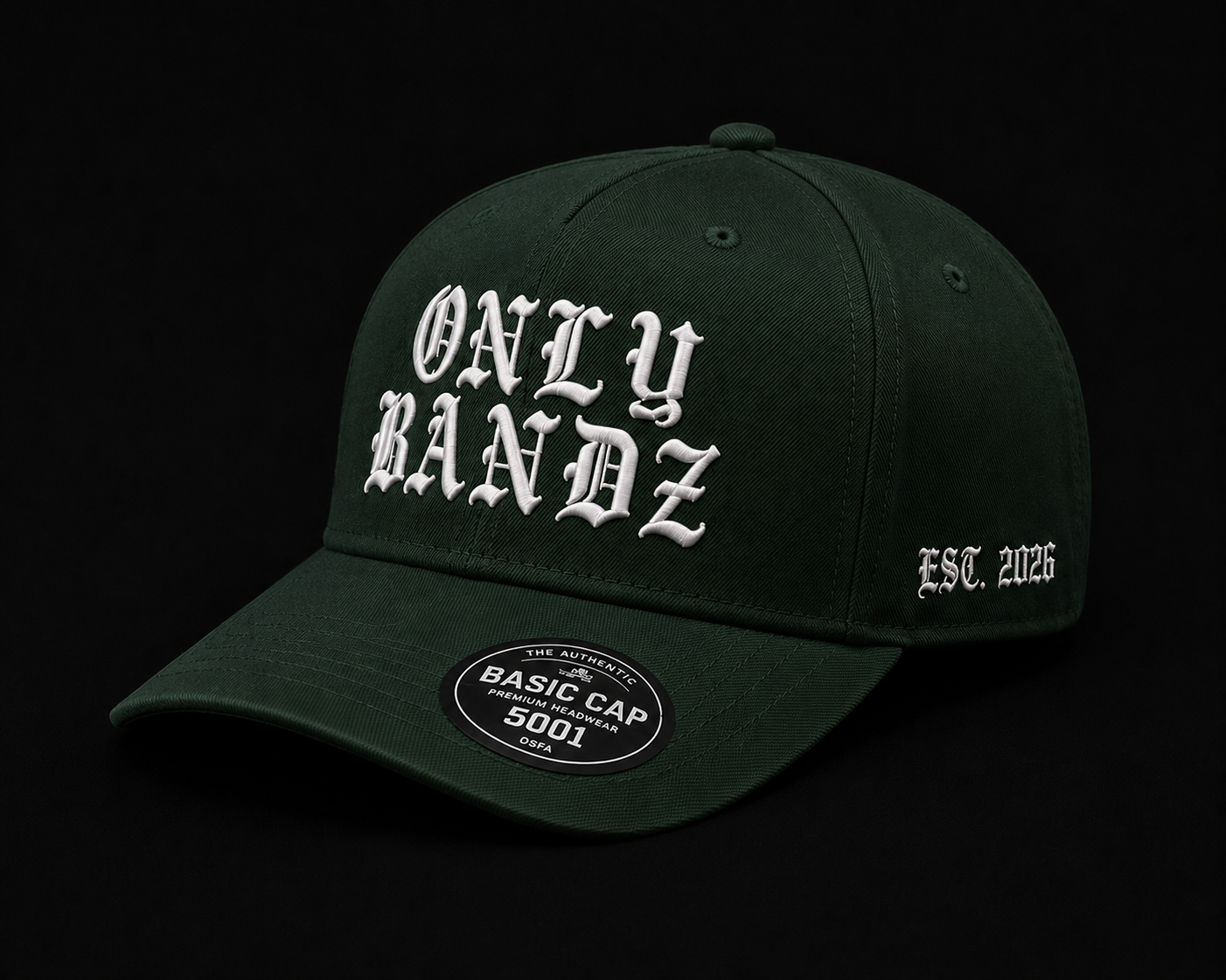 ONLY BANDZ 3D Puff Hat