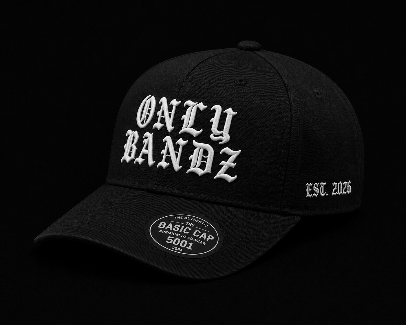 ONLY BANDZ 3D Puff Hat